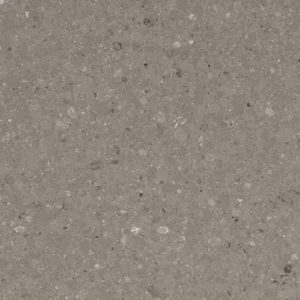 4230 Shitake - Caesarstone
