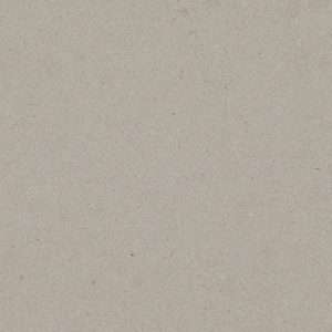4004 Raw Concrete